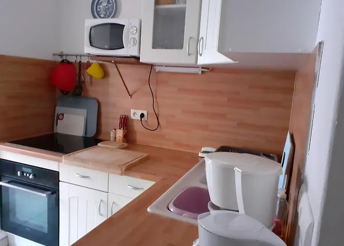 Appartement Les Yuccas,80m Plage,tout A Pieds